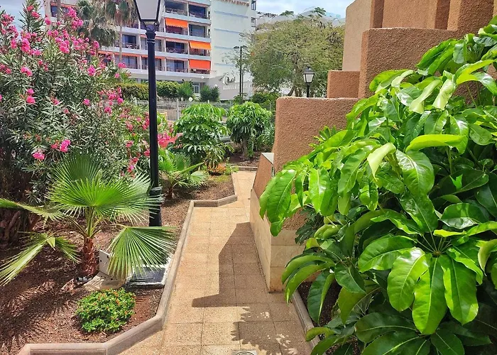 Dreaming Parque De Las Americas